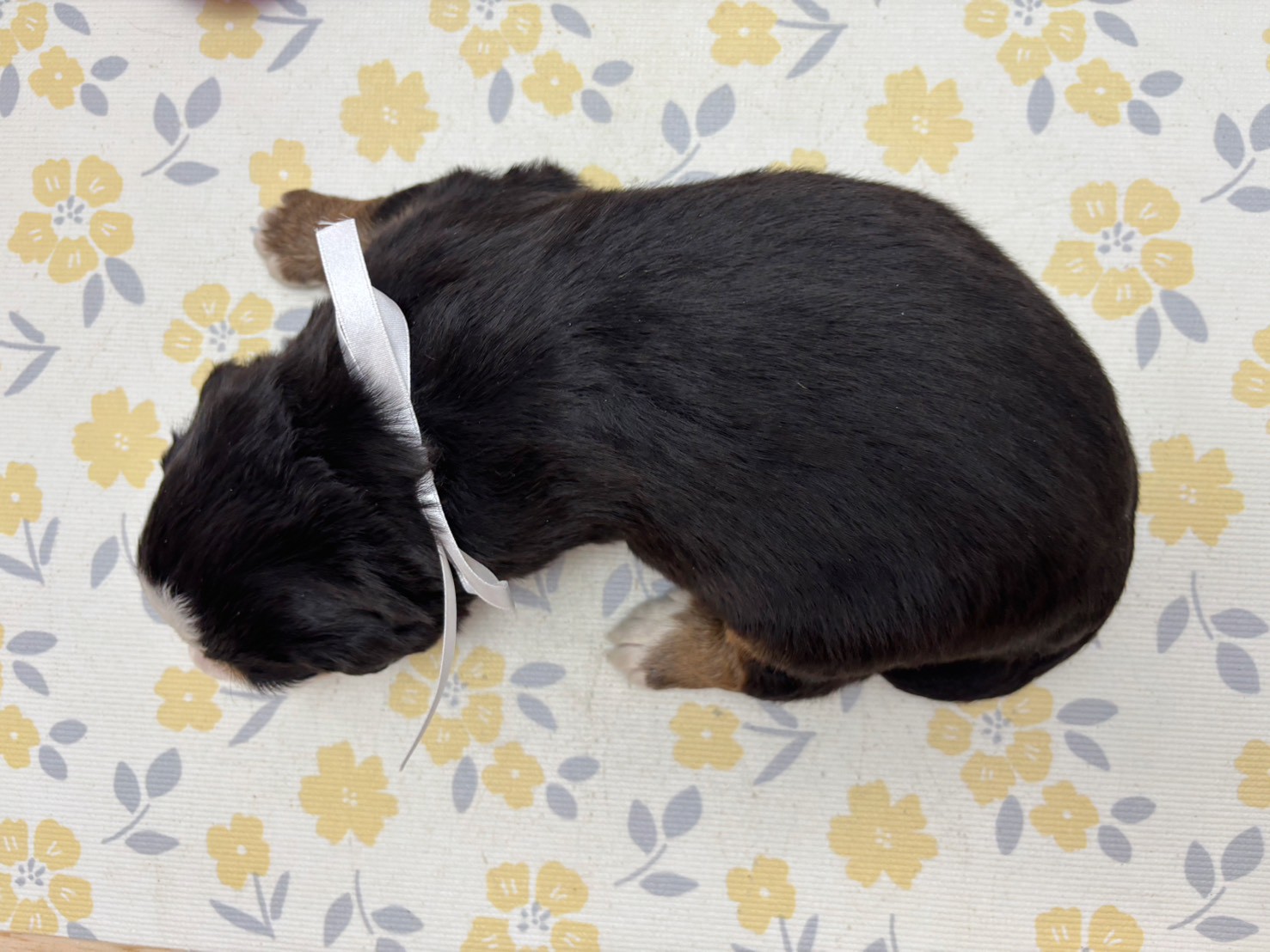 赤ちゃん写真2-3