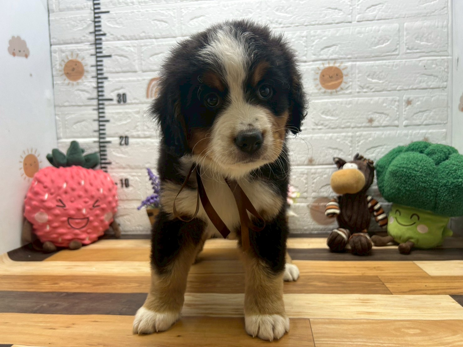 赤ちゃん写真3-1