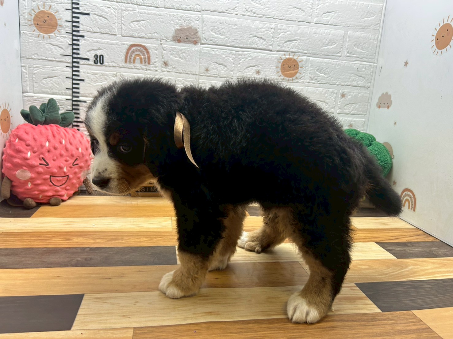 赤ちゃん写真3-2