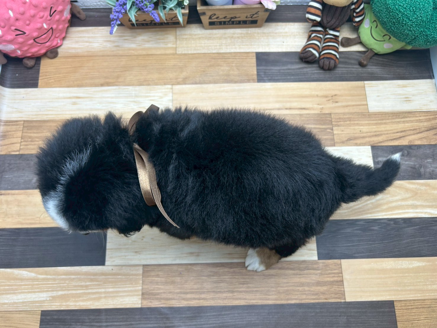 赤ちゃん写真3-3