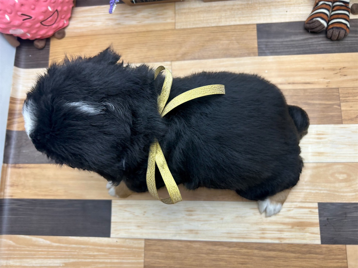 赤ちゃん写真3-3