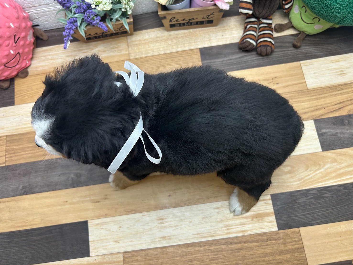 赤ちゃん写真3-3
