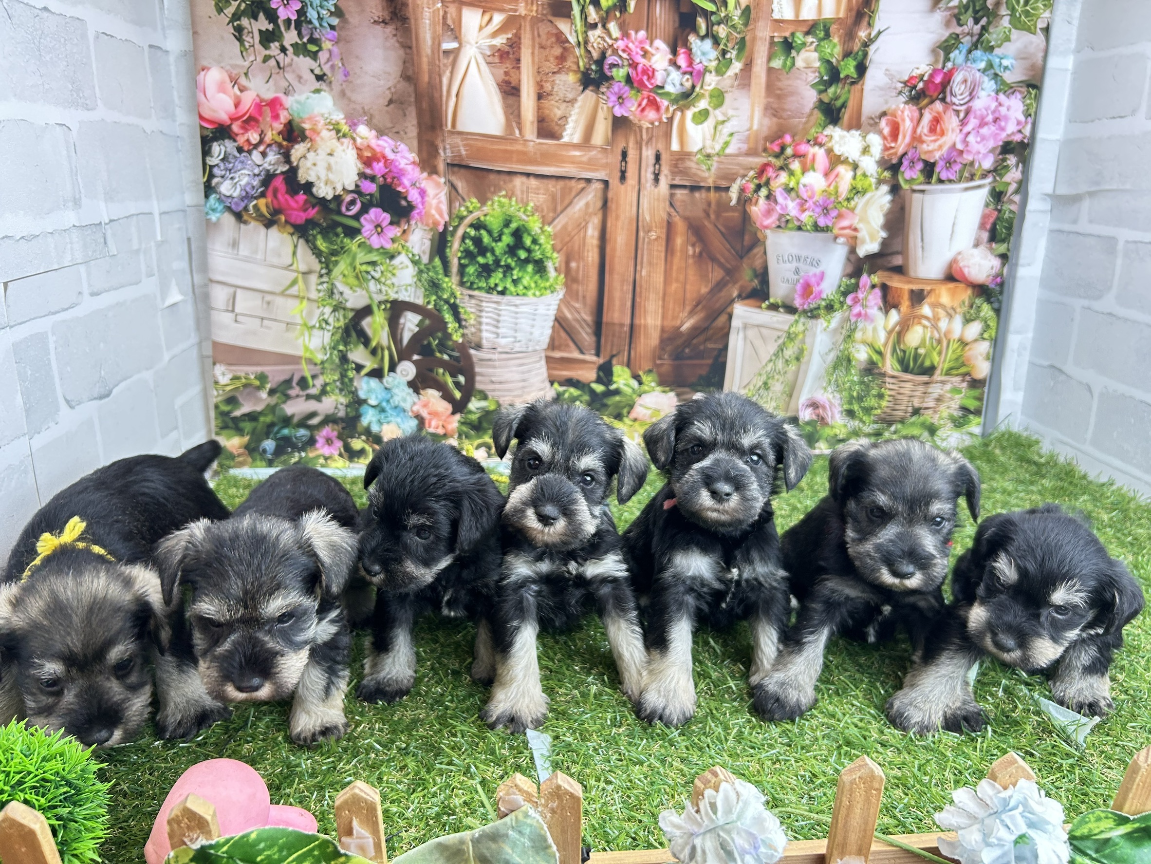 赤ちゃん写真2-3