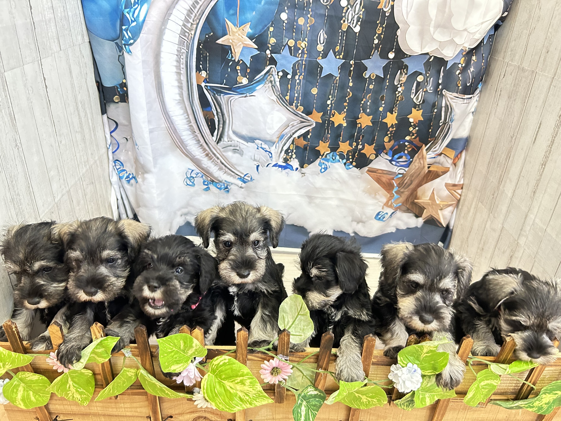 赤ちゃん写真3-3