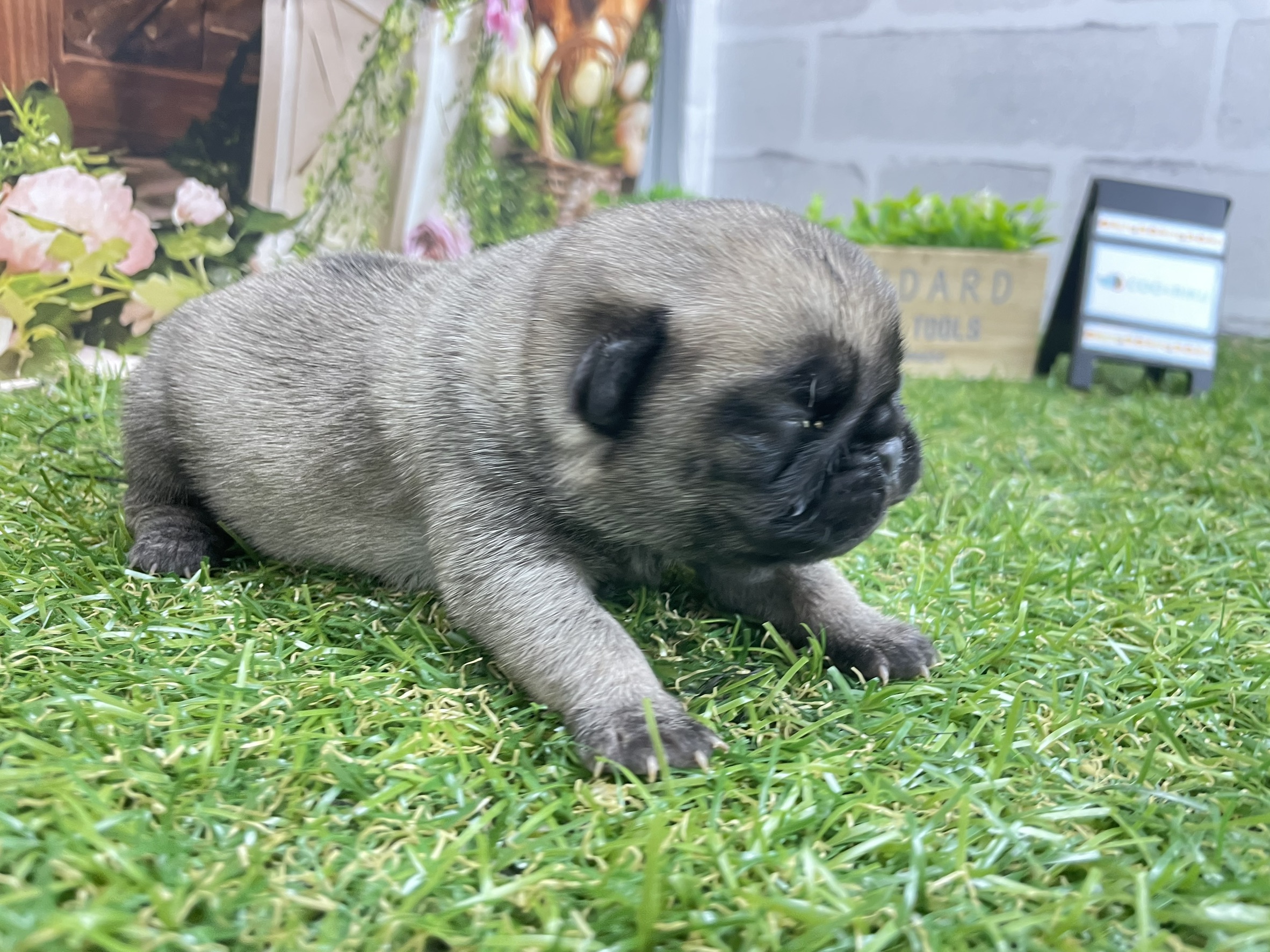 赤ちゃん写真1-2
