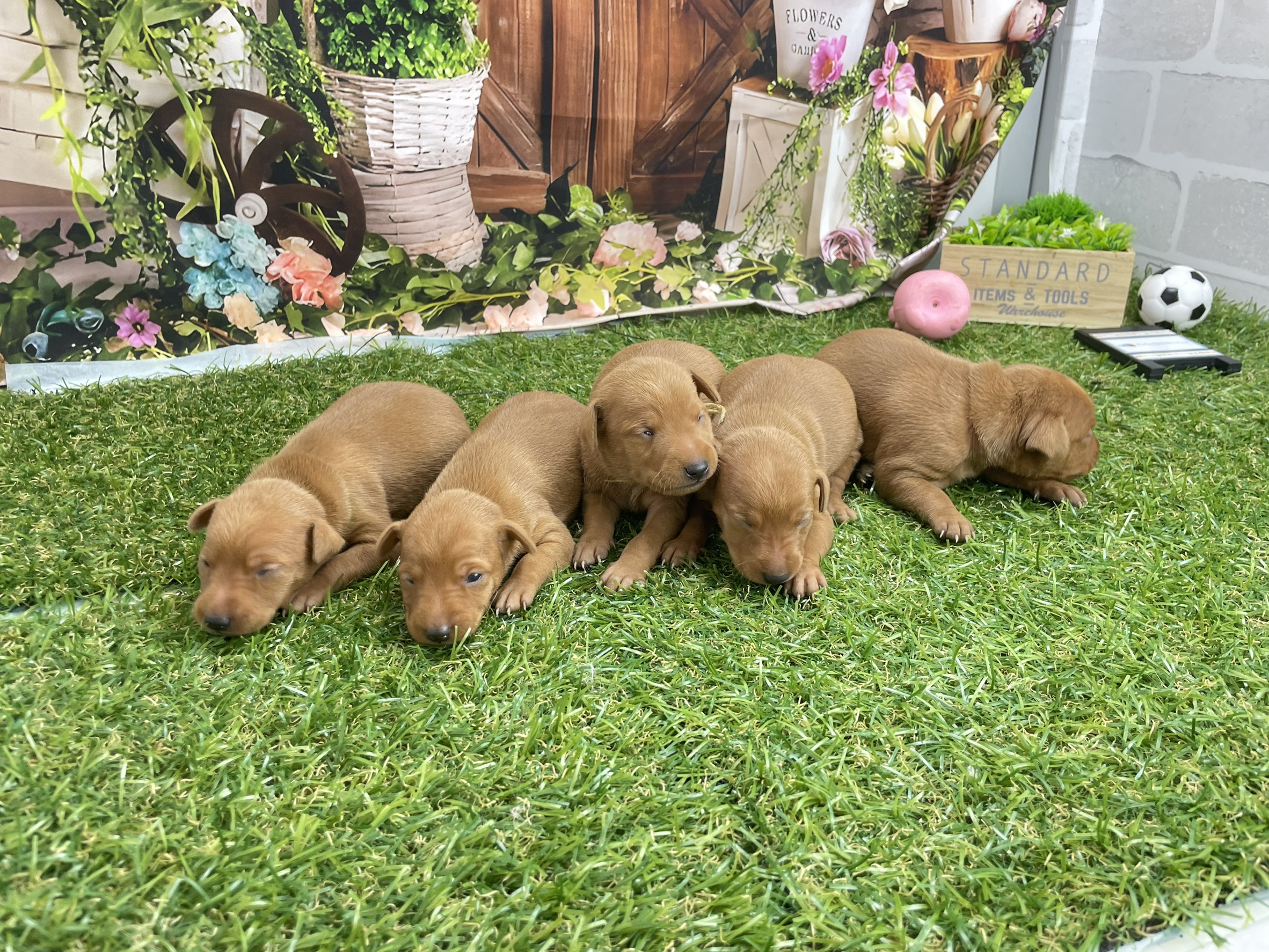 赤ちゃん写真1-3