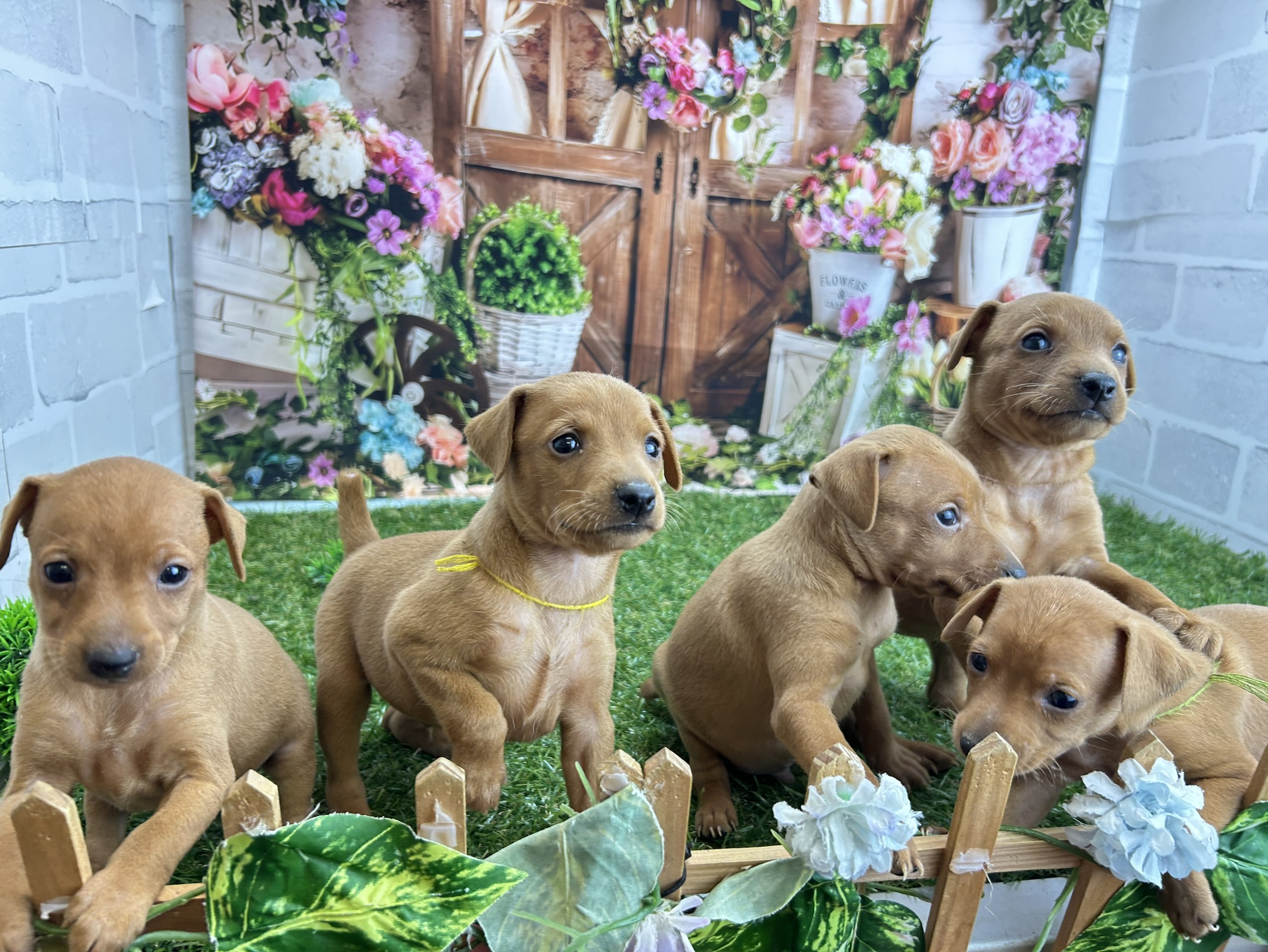 赤ちゃん写真2-3