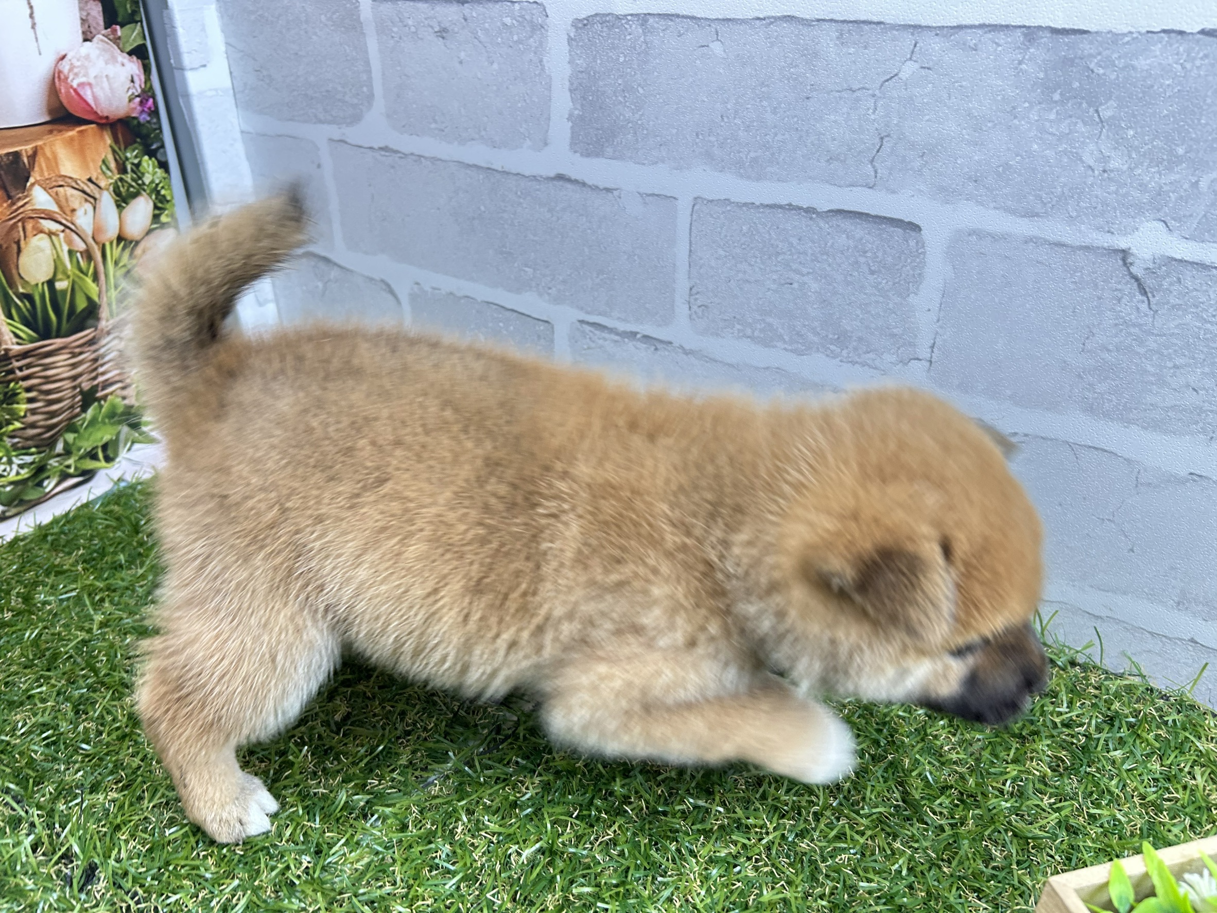赤ちゃん写真2-3