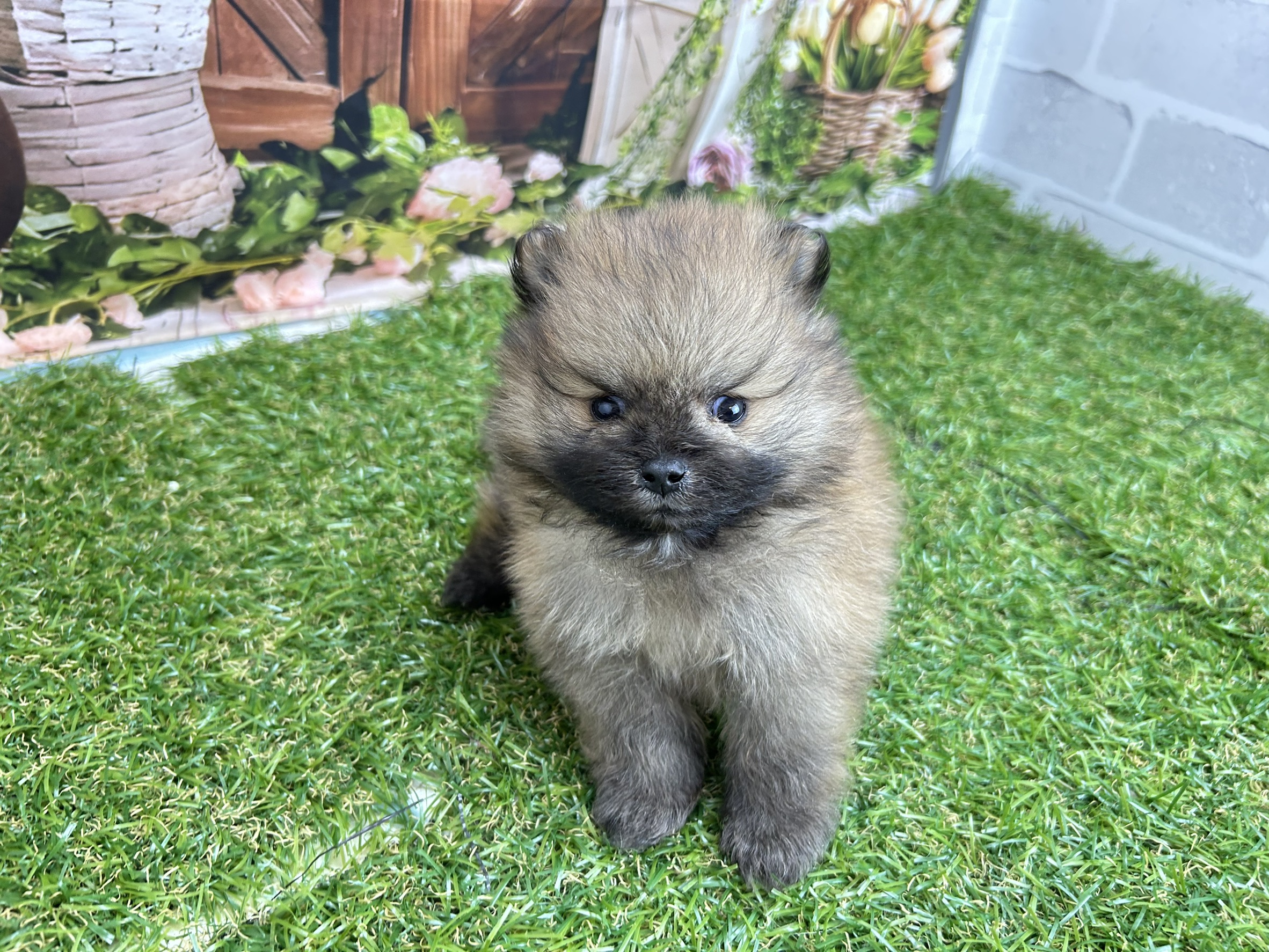赤ちゃん写真2-1