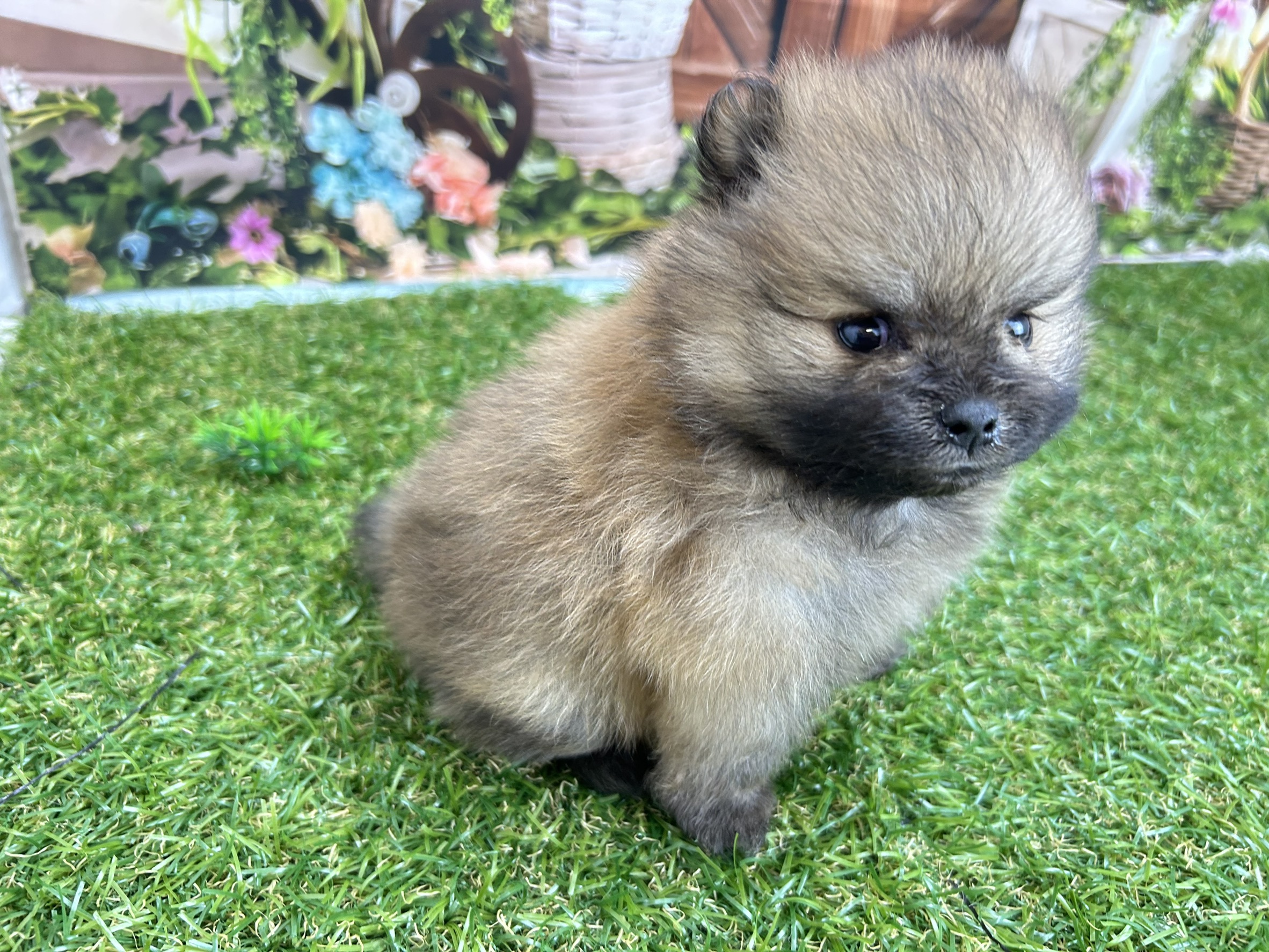 赤ちゃん写真2-3