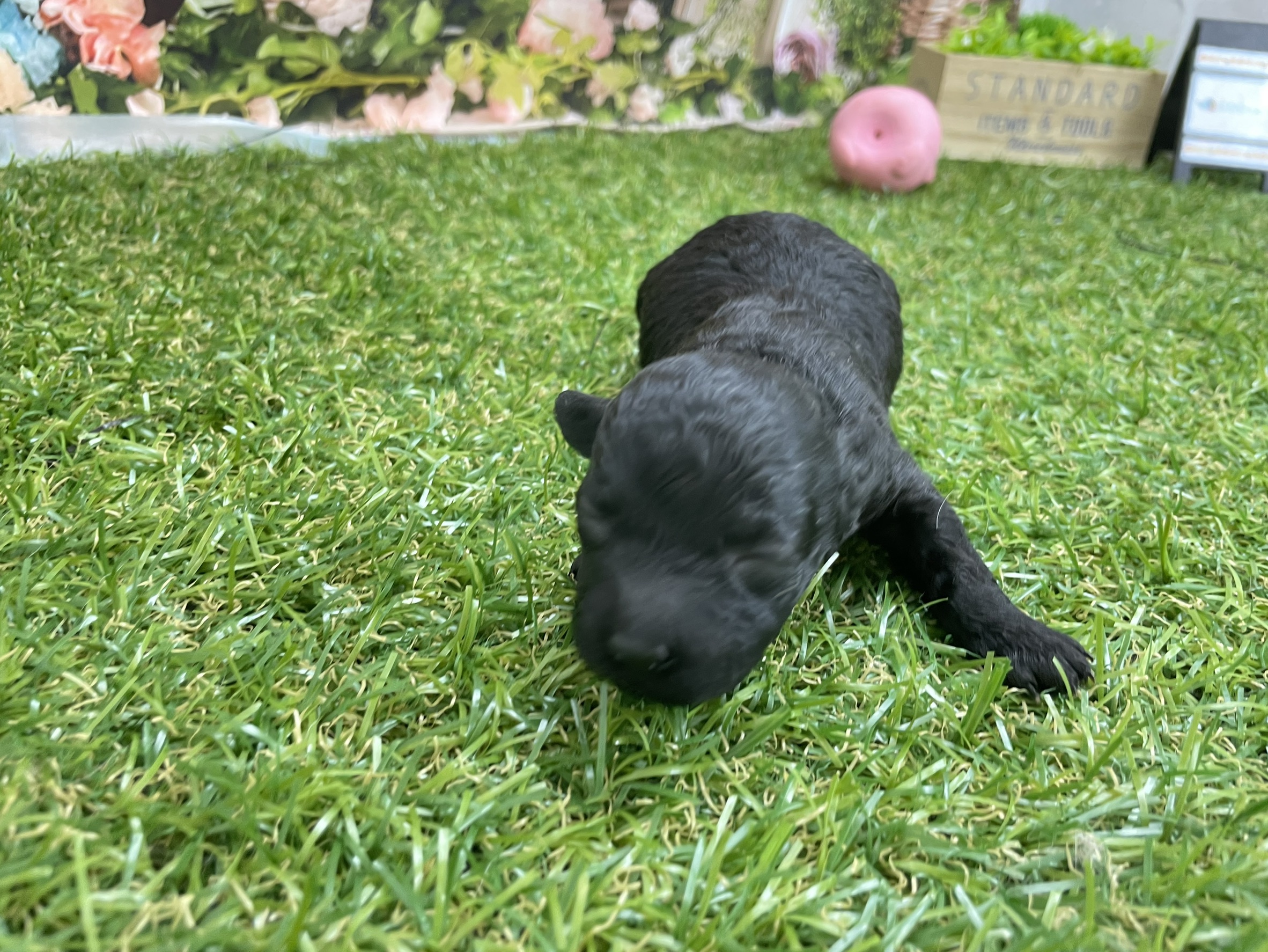 赤ちゃん写真1-1