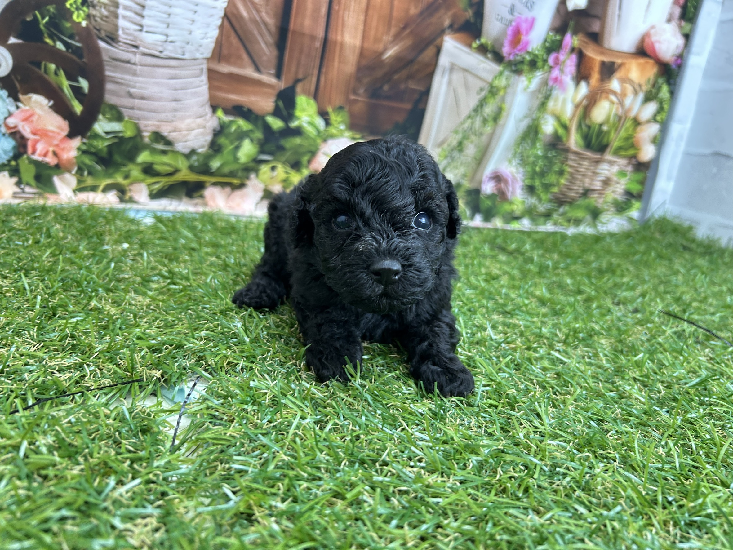 赤ちゃん写真2-1