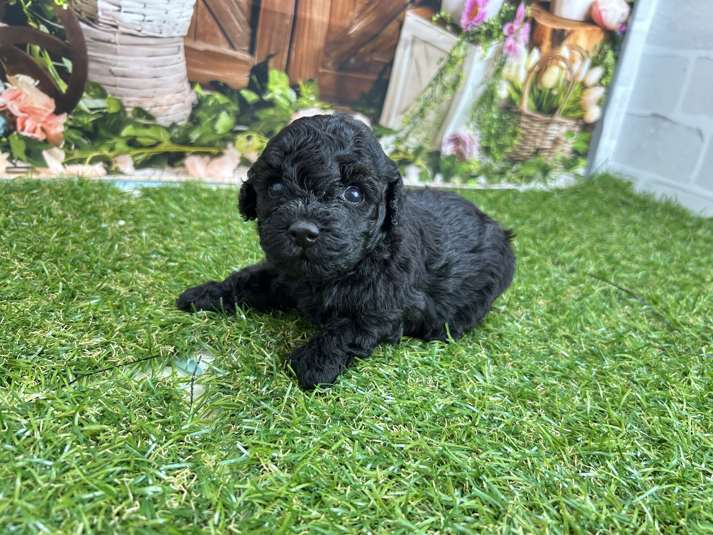 赤ちゃん写真2-2