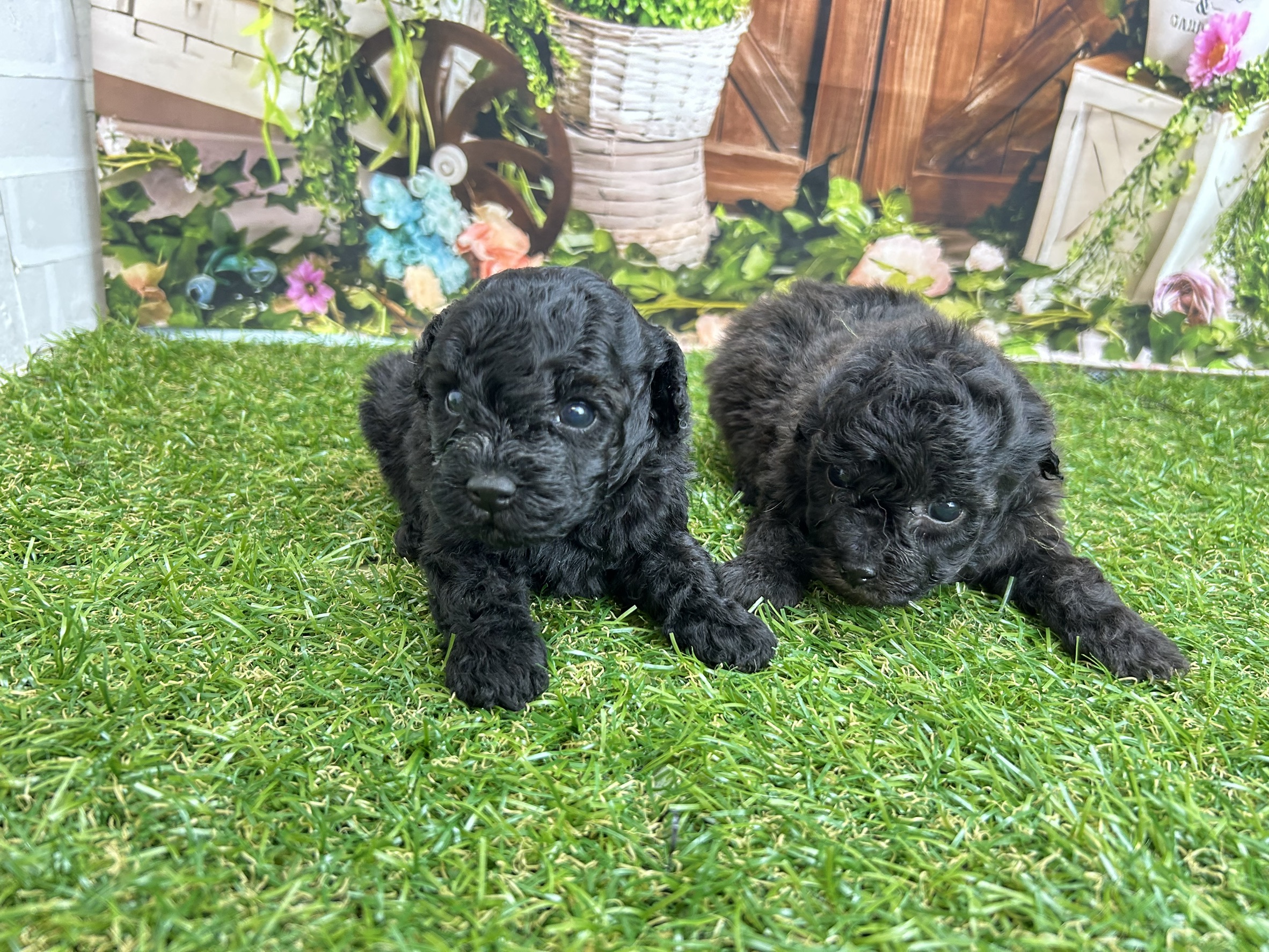 赤ちゃん写真2-3