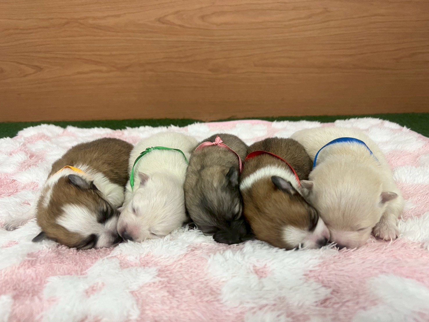 赤ちゃん写真1-3