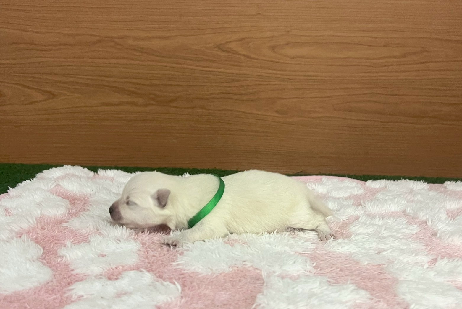赤ちゃん写真1-2