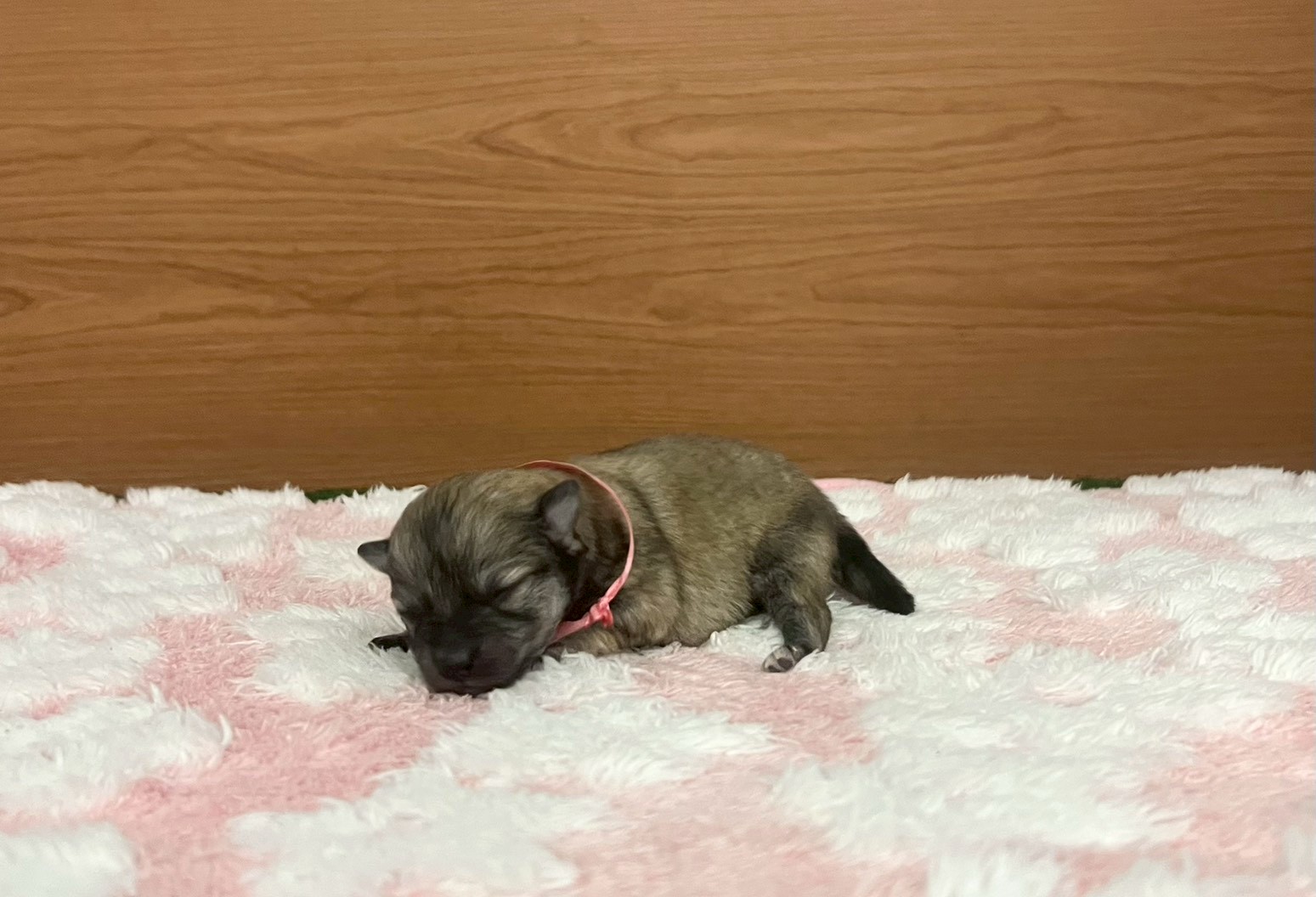 赤ちゃん写真1-2