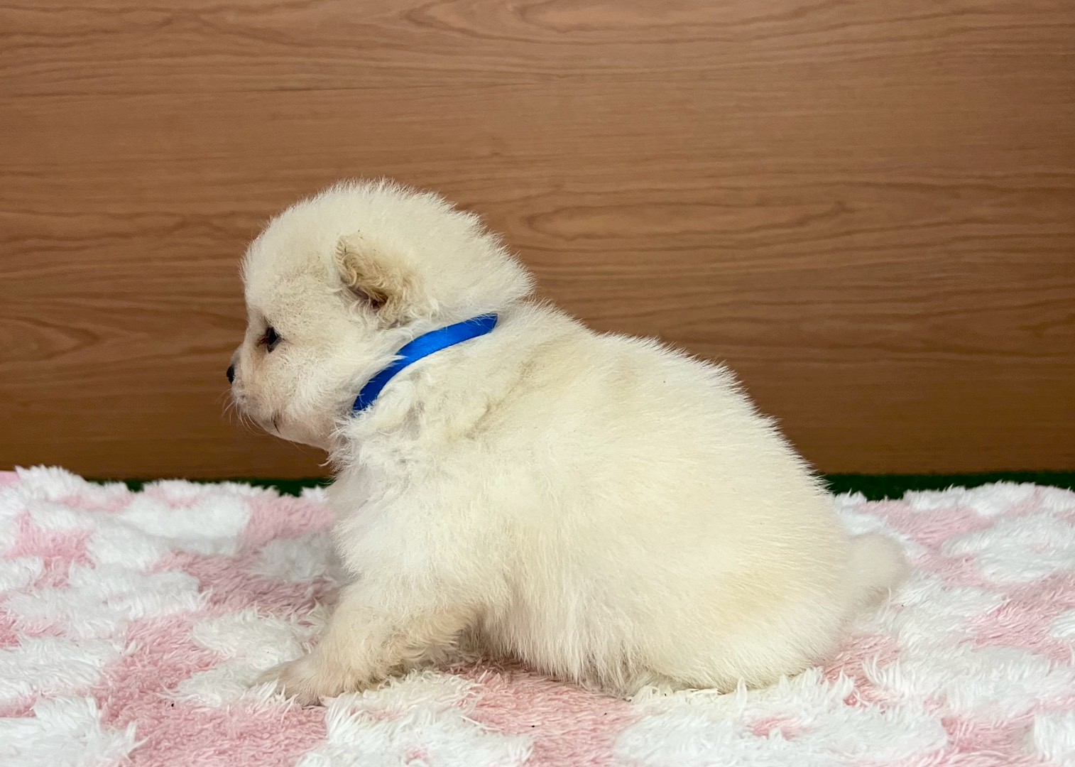 赤ちゃん写真2-2