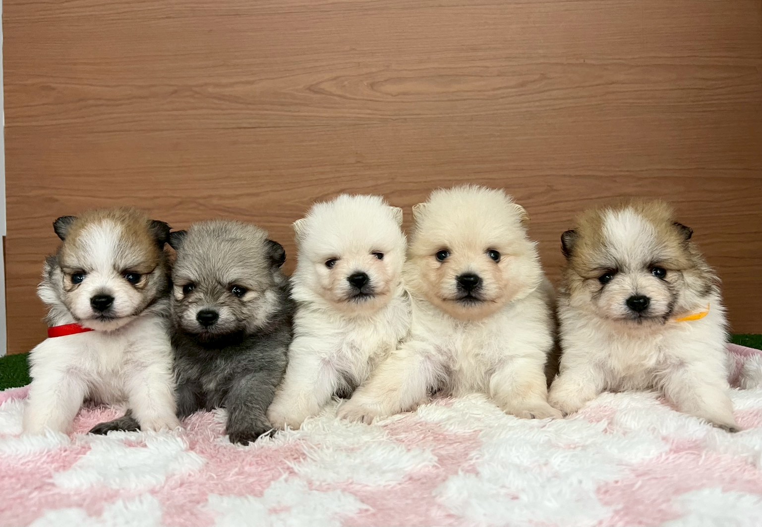 赤ちゃん写真2-3