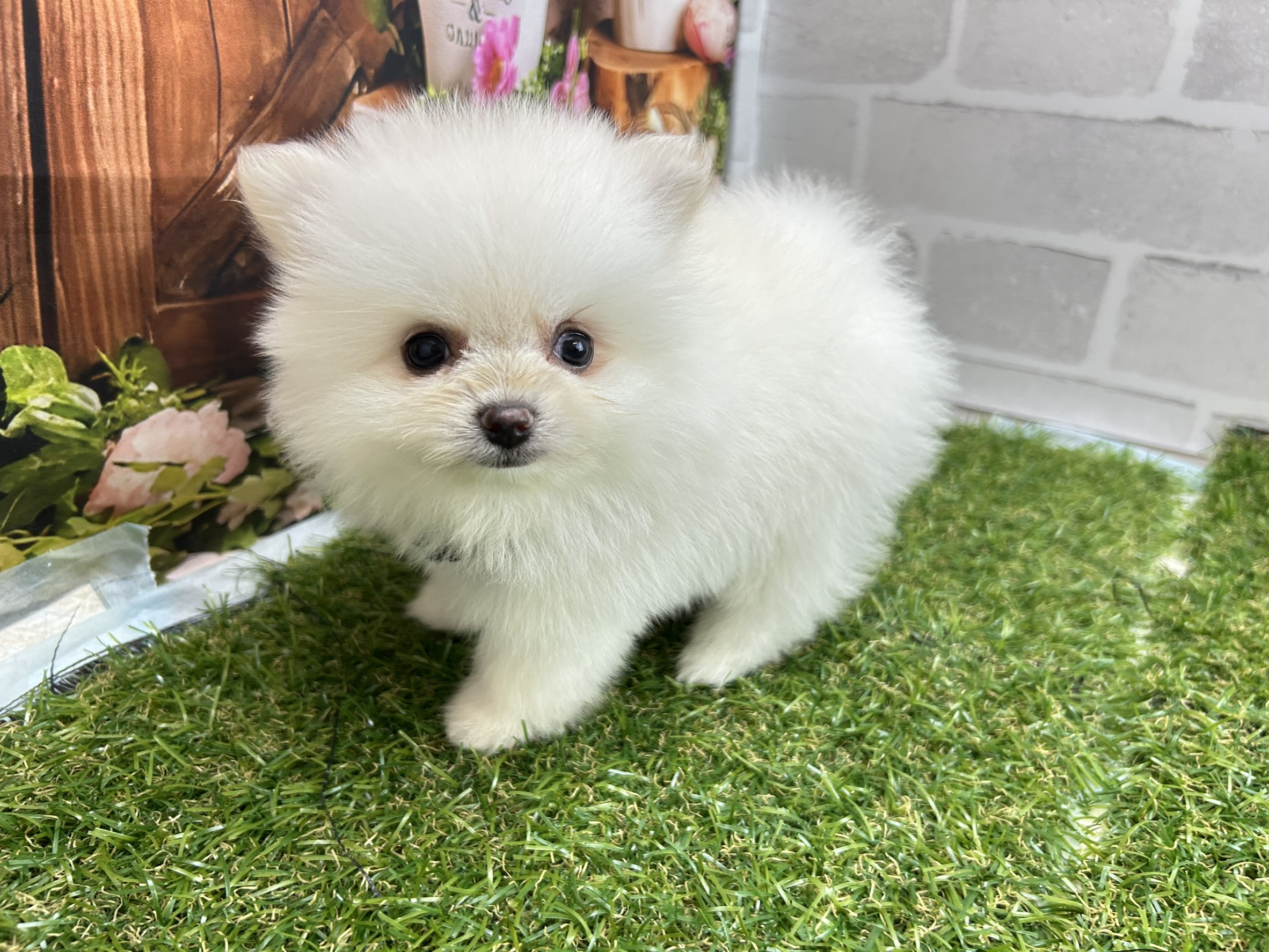 赤ちゃん写真3-2