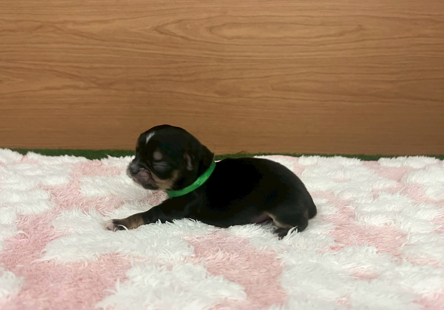 赤ちゃん写真1-2