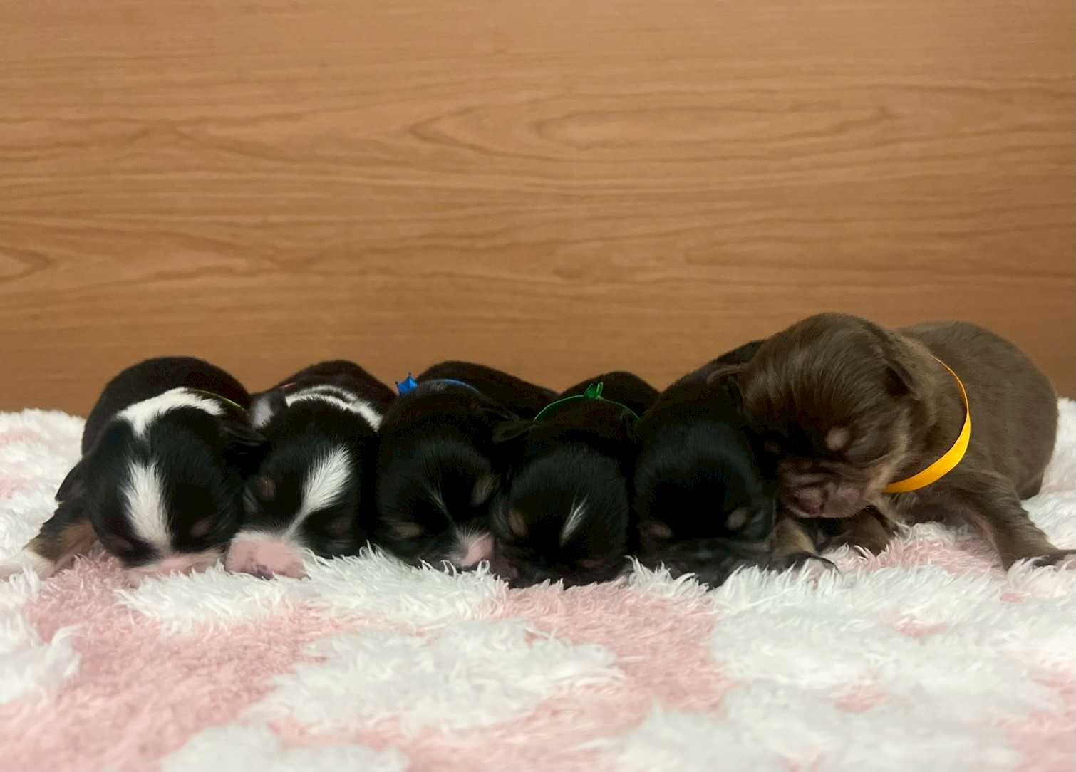 赤ちゃん写真1-3