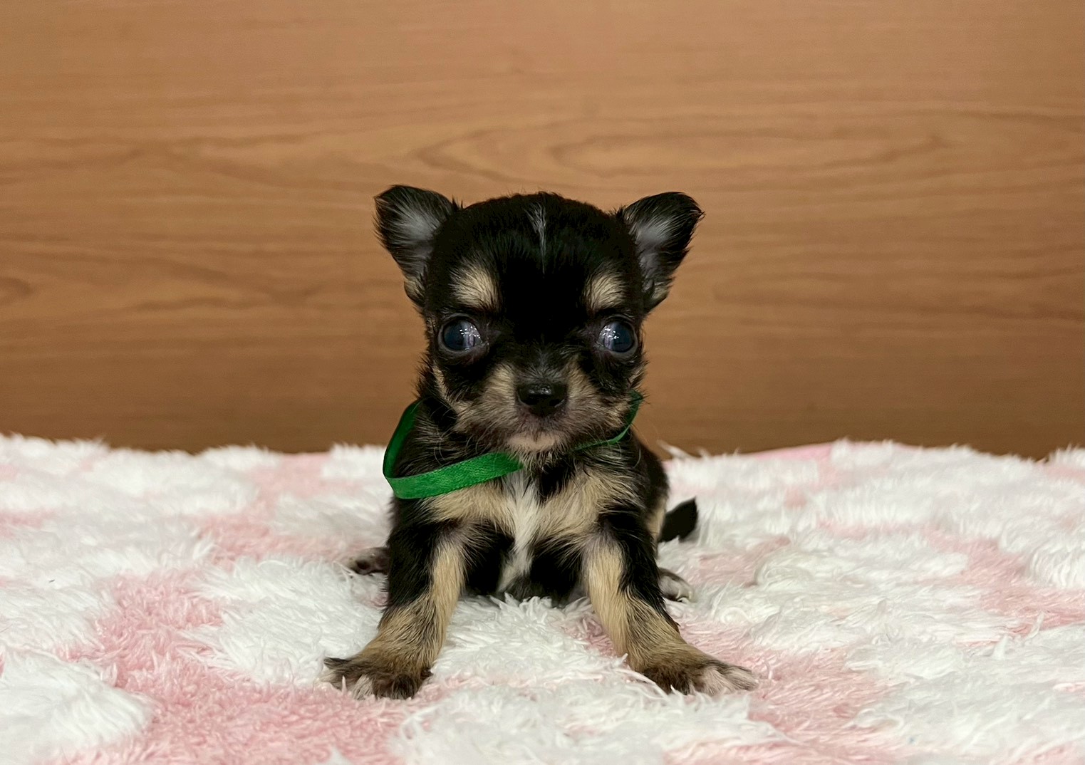 赤ちゃん写真2-1