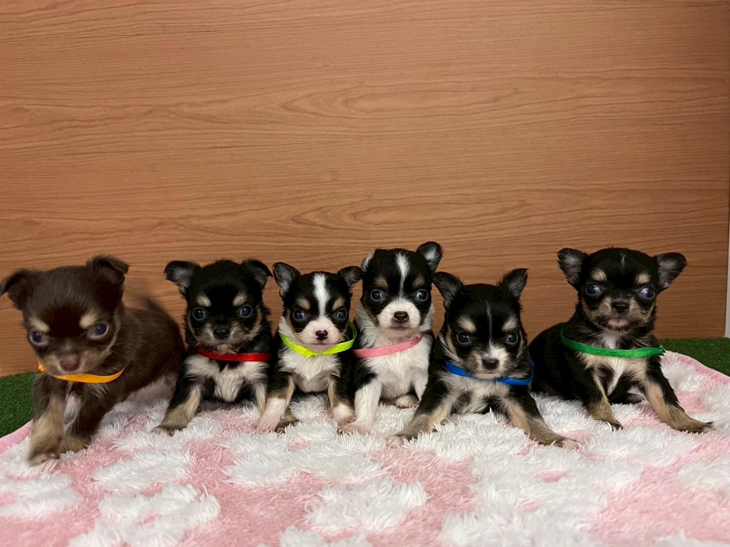 赤ちゃん写真2-3
