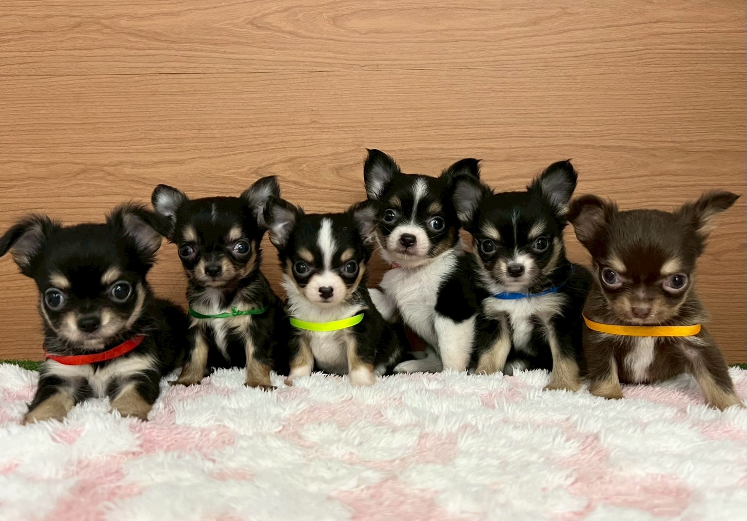 赤ちゃん写真3-3