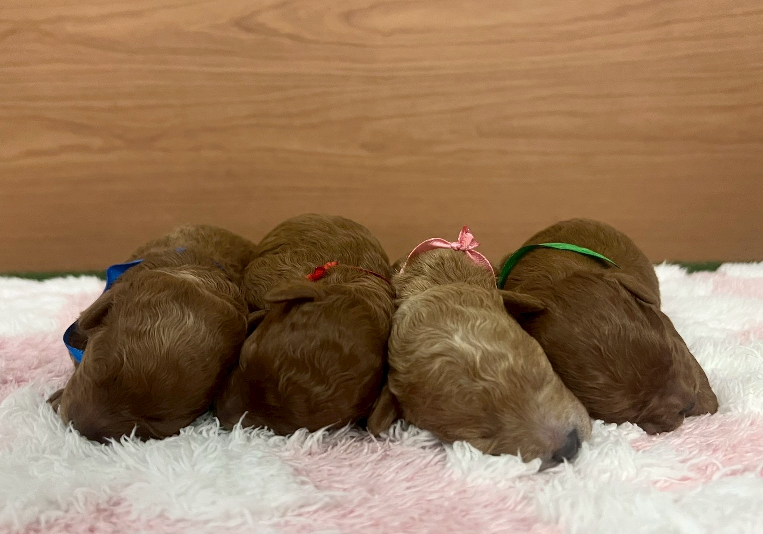 赤ちゃん写真1-3