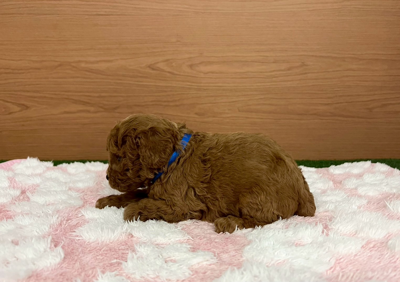 赤ちゃん写真2-2