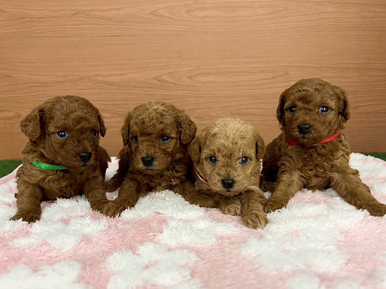 赤ちゃん写真2-3