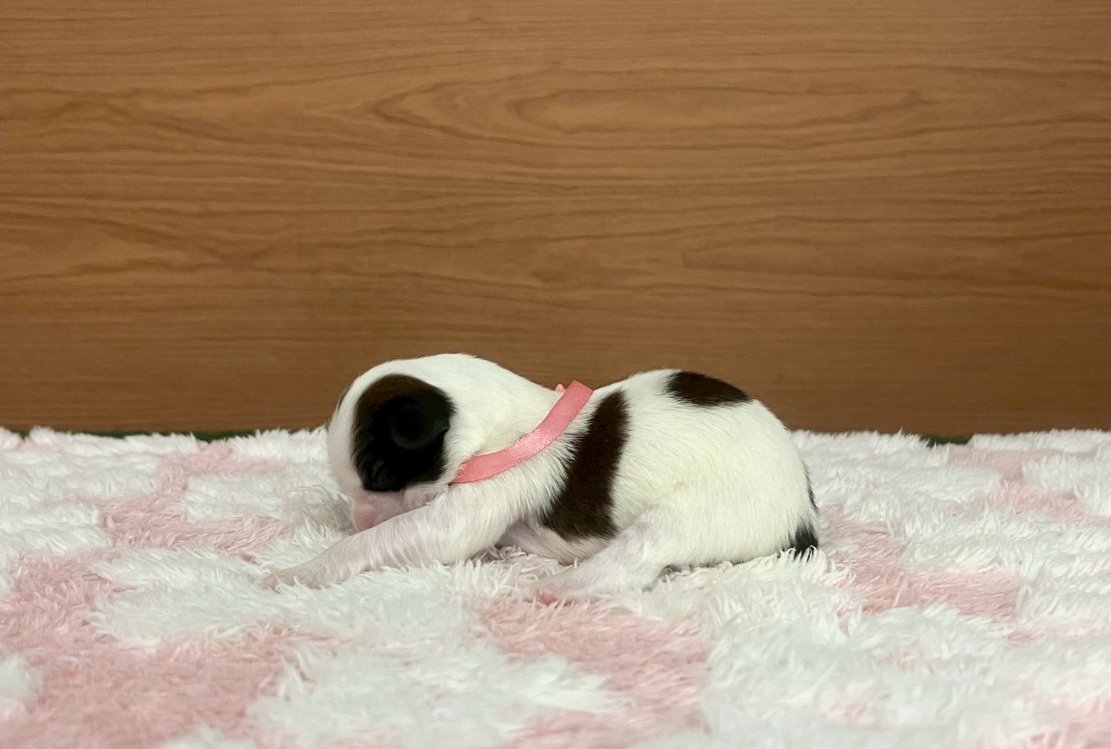 赤ちゃん写真1-2