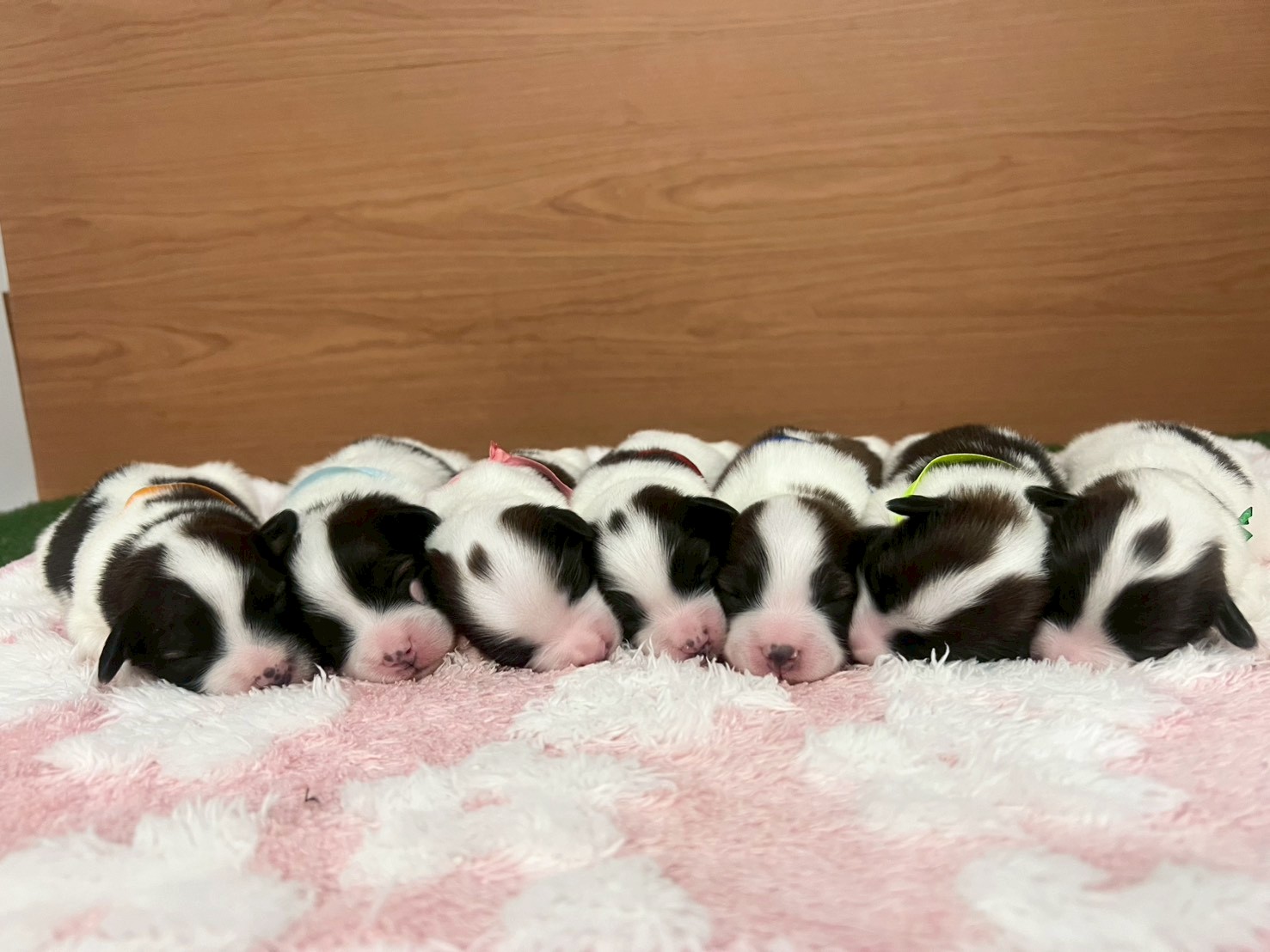 赤ちゃん写真1-3