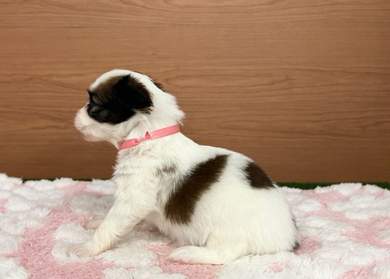 赤ちゃん写真2-2