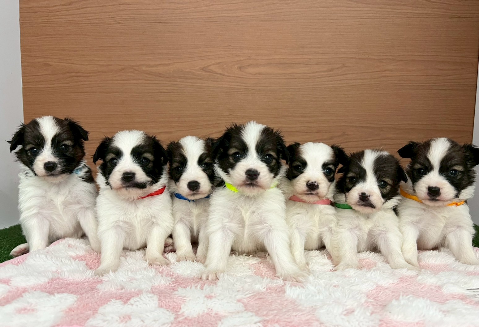 赤ちゃん写真2-3