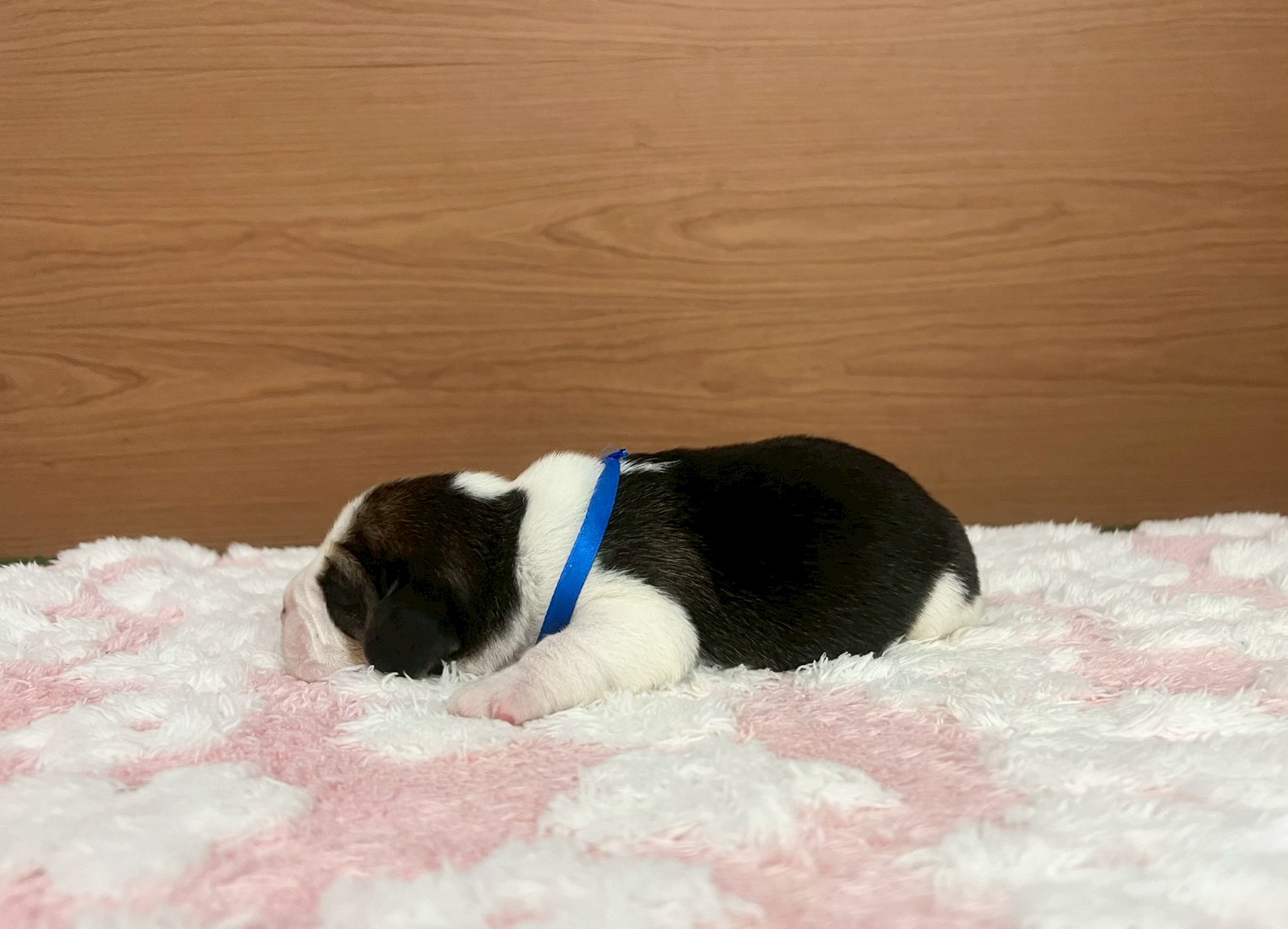 赤ちゃん写真1-2