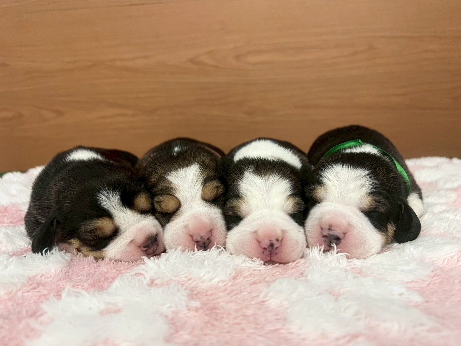 赤ちゃん写真1-3