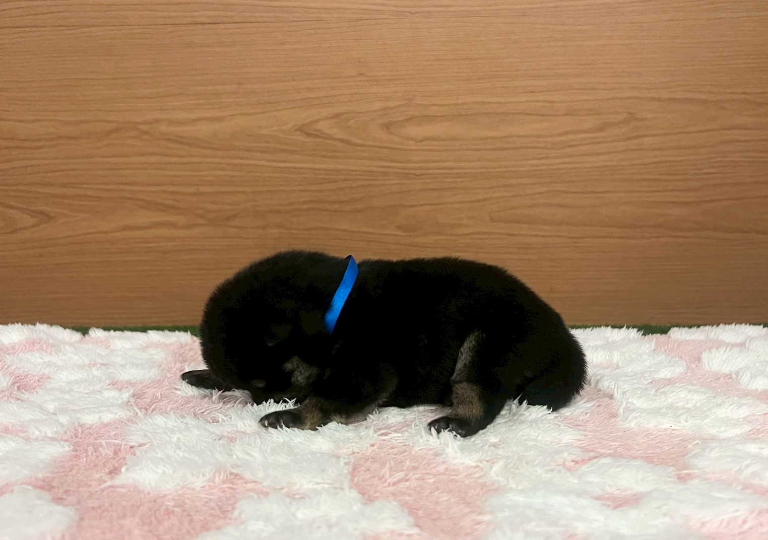 赤ちゃん写真1-2