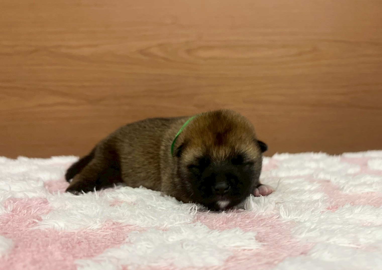 赤ちゃん写真1-1