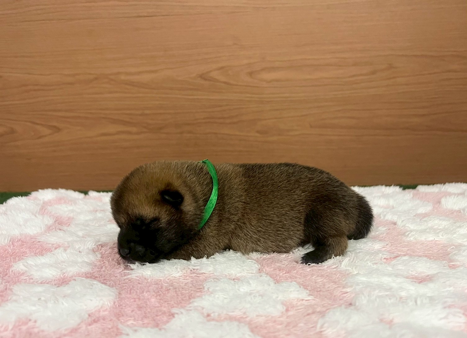 赤ちゃん写真1-2