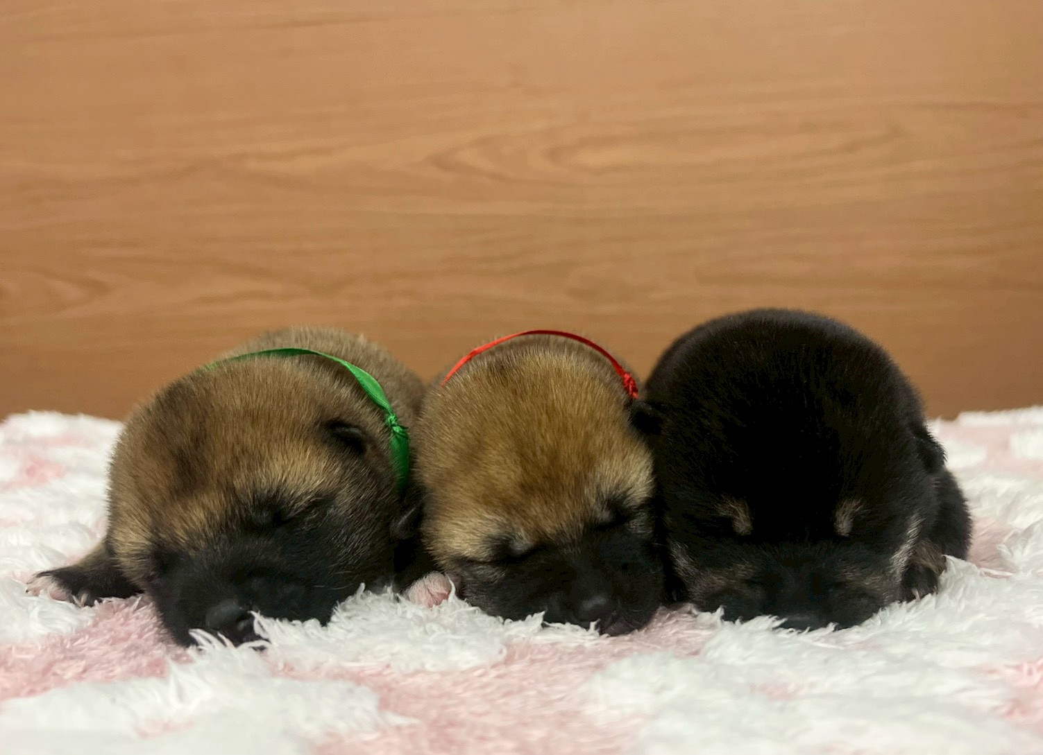 赤ちゃん写真1-3