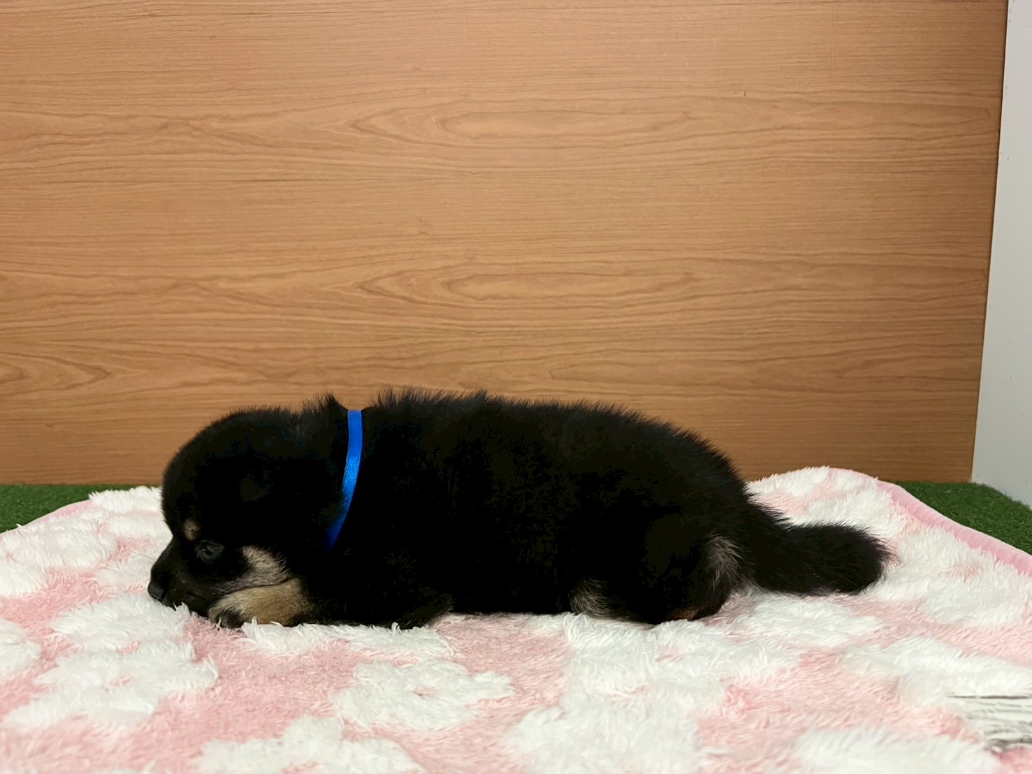 赤ちゃん写真2-2