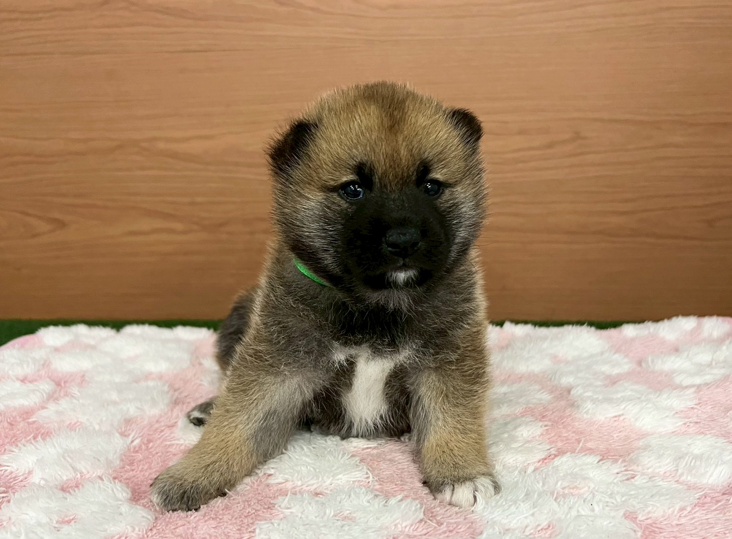 赤ちゃん写真2-1