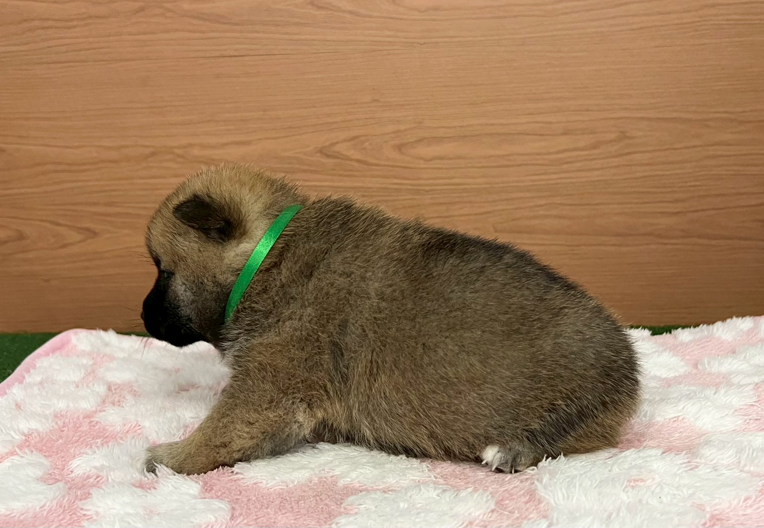 赤ちゃん写真2-2