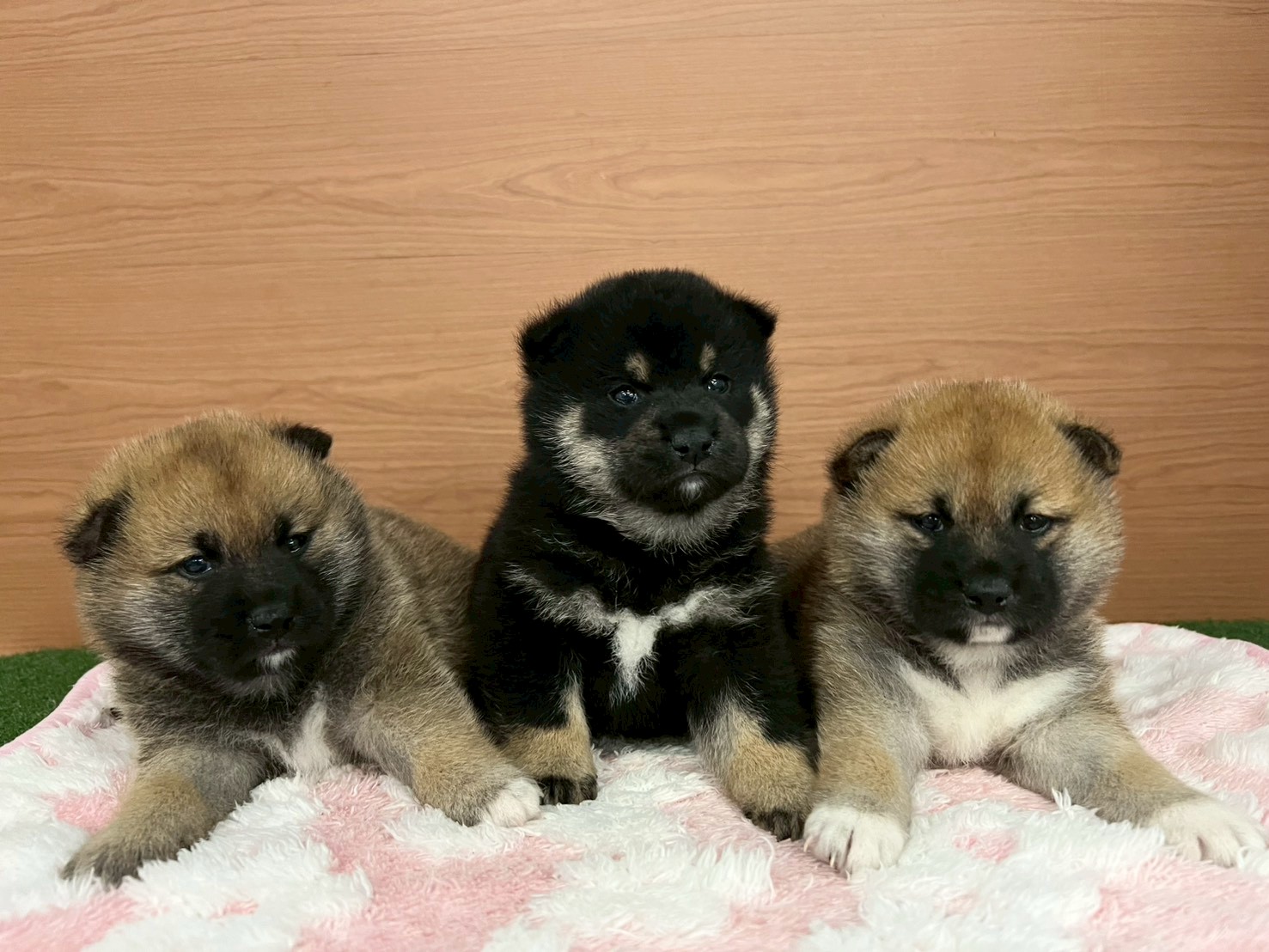 赤ちゃん写真2-3