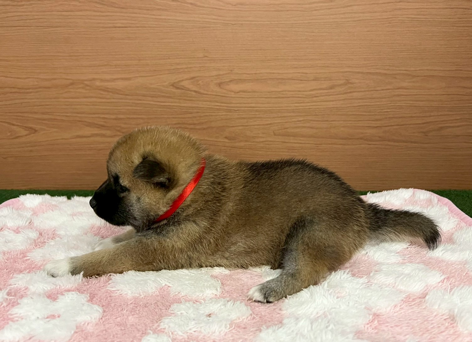 赤ちゃん写真2-2