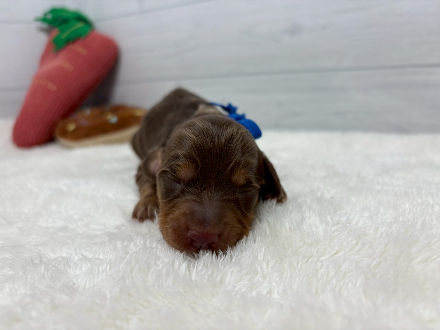 赤ちゃん写真1-1