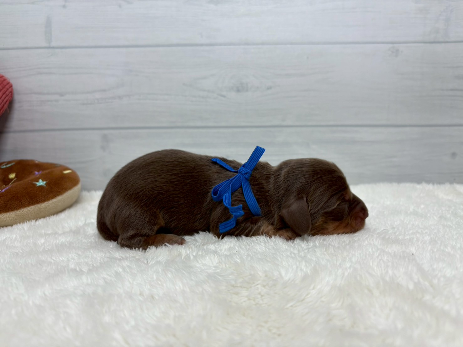 赤ちゃん写真1-2