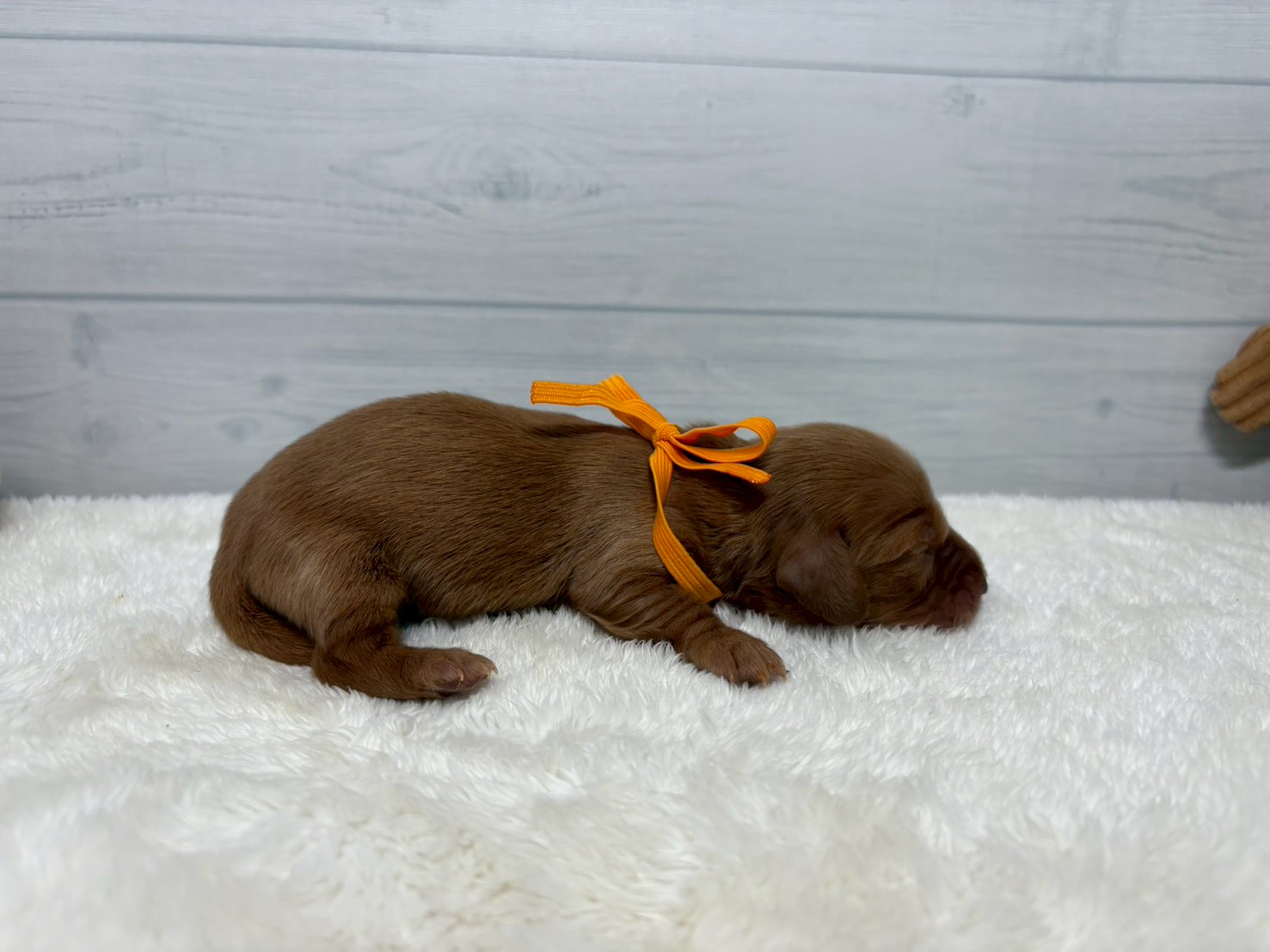 赤ちゃん写真1-2